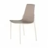 Papillon Stylish Dinning Chair - Grey - Angled - Papillon Stylish Dinning Chair - Grey - Angled