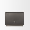 Mercana Roxdale Acid Washed Iron Metal Accent Cabinet Back