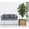 Cane-Line Combine Planter - waiting room - Cane-Line Combine Planter - waiting room