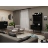 Manhattan Comfort Tribeca 35.43 Mid-Century Modern TV Stand and Panel with Media and Display Shelves in Black 