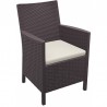 California Resin Wickerlook Chair - Set of 2