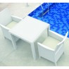 California Resin Wickerlook Chair - Set of 2
