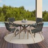 Armen Living Nabila Outdoor Light Eucalyptus Wood and Charcoal Rope Dining Chairs 