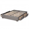 Baxton Studio Leni Upholstered Platform Storage Bed Frame - Light Grey
