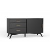 Alpine Furniture Flynn Small TV Console in Black - Angled