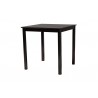 Baxton Studio Lenoir Modern Espresso Brown Finished Wood Counter Height Pub Table - Front Side Angle