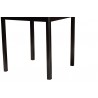 Baxton Studio Lenoir Modern Espresso Brown Finished Wood Counter Height Pub Table - Base Angle