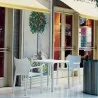 Diva Resin Outdoor Dining Arm Chair - White - Diva Resin Outdoor Dining Arm Chair - White