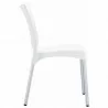 Juliette Resin Dining Chair - Juliette Resin Dining Chair