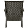 Miami Resin Club Chair - Set of 2 - Brown - Back