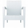 Miami Resin Club Chair - Set of 2 - White - Front