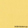Buttercup Patch - Buttercup Patch