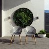 Amazonia 2-Piece Chairs Set | Eucalyptus Wood - Lifestyle