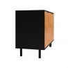 Manhattan Comfort Mid-Century Modern Liam Accent Cabinet in Black and Wood Side View