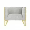 Manhattan Comfort Vector Grey and Gold Velvet Accent Chair Front - Manhattan Comfort Vector Grey and Gold Velvet Accent Chair Front