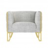 Manhattan Comfort Vector Grey and Gold Velvet Accent Chair Front