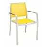 Aluminum Arm Chair with Silver Frame - Mango - Aluminum Arm Chair with Silver Frame - Mango