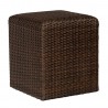 Woodard Et Cetera Aruba Reticulated Cube in Coffee