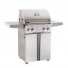 American Outdoor Grill 24 T-Series Portable Grill 