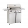 American Outdoor Grill 30 T-Series Portable Grill