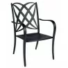 Woodard Apollo Dining Arm Chair - Stackable - No Cushion - Woodard Apollo Dining Arm Chair - Stackable - No Cushion