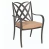 Woodard Apollo Dining Arm Chair - Stackable - With Cushion - Woodard Apollo Dining Arm Chair - Stackable - With Cushion