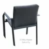 Bellini Home And Garden Annabel Dining Chair - Back Angled with Details 4 - Bellini Home And Garden Annabel Dining Chair - Back Angled with Details 4