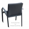 Bellini Home And Garden Annabel Dining Chair - Back Angled with Details 2