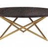 Armen Living Atala Brown Veneer Coffee Table with Brushed Gold Legs Front