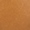 Color Patch: Brown