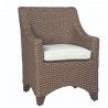 Woodard Augusta Wicker Dining Arm Chair - Angled