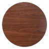 Auray Bar Table in Brown- Top Vew