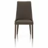 Aurora Dining Chair - Dark Umber and Dark Wenge - Front - Aurora Dining Chair - Dark Umber and Dark Wenge - Front