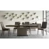 Aurora Dining Chair - Dark Umber and Dark Wenge - Lifestyle 2 - Aurora Dining Chair - Dark Umber and Dark Wenge - Lifestyle 2