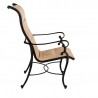 Woodard Avondale Padded Sling Dining Arm Chair - Side