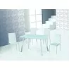 J&M Furniture B24 Dining Table - J&M Furniture B24 Dining Table