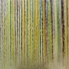Vines Wall Art - Vines Wall Art