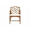 bali & pari Aella Marbled Tortoise Natural Rattan Dining Chair - front - bali & pari Aella Marbled Tortoise Natural Rattan Dining Chair - front