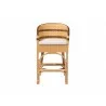 bali & pari Elma Rattan Counter Stool with Cushion - Front - bali & pari Elma Rattan Counter Stool with Cushion - Front