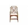 fbali & pari Esmery Marbled Tortoise Natural Rattan Arm Dining Chair - front - fbali & pari Esmery Marbled Tortoise Natural Rattan Arm Dining Chair - front