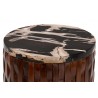 bali & pari Lavanya End Table with Petrified Wood Top - top - bali & pari Lavanya End Table with Petrified Wood Top - top