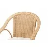 bali & pari Liam 5-Piece Natural Rattan Dining Set - top - bali & pari Liam 5-Piece Natural Rattan Dining Set - top