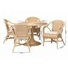 bali & pari Liam 5-Piece Natural Rattan Dining Set - dimes - bali & pari Liam 5-Piece Natural Rattan Dining Set - dimes