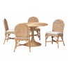 bali & pari Linda 5-Piece Natural Rattan Dining Set - angled set - bali & pari Linda 5-Piece Natural Rattan Dining Set - angled set