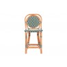 bali & pari Mattie Rattan Bistro Counter Stool - front - bali & pari Mattie Rattan Bistro Counter Stool - front