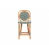 bali & pari Mattie Rattan Bistro Counter Stool - front - bali & pari Mattie Rattan Bistro Counter Stool - front