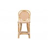 bali & pari Mattie Rattan Bistro Counter Stool - front - bali & pari Mattie Rattan Bistro Counter Stool - front