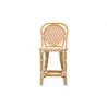 bali & pari Mattie Rattan Bistro Counter Stool - front - bali & pari Mattie Rattan Bistro Counter Stool - front