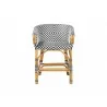 bali & pari Max Rattan Bistro Counter Stool - front - bali & pari Max Rattan Bistro Counter Stool - front