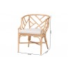 bali & pari Padma Natural Rattan Dining Chair - Dimension